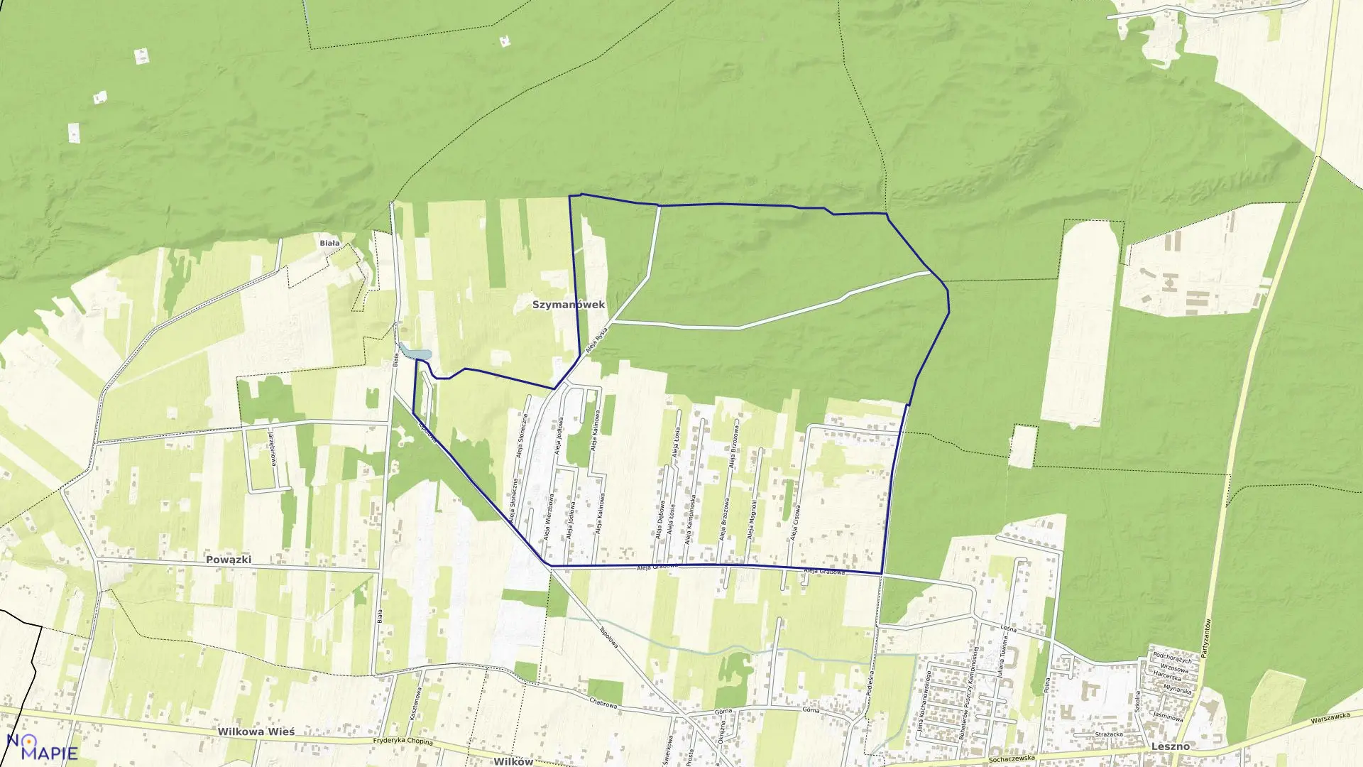 Mapa obrębu MARIANÓW w gminie Leszno