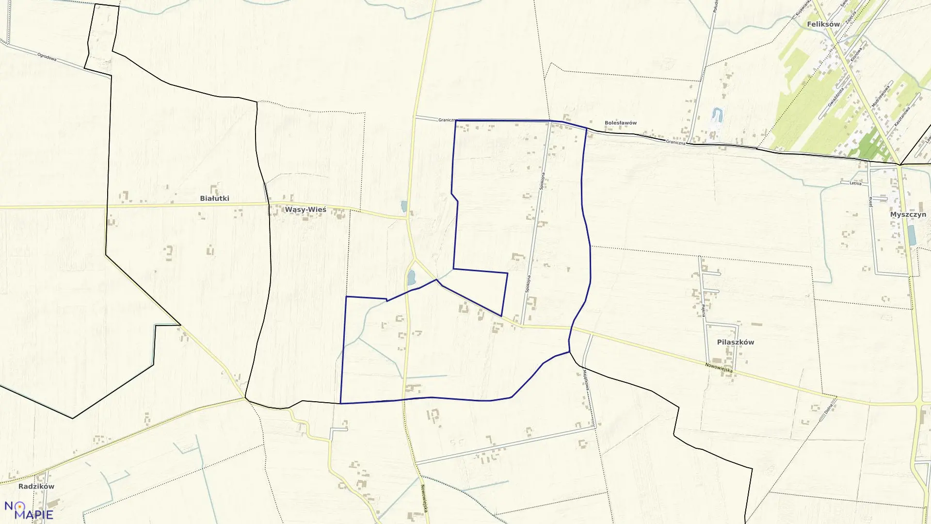 Mapa obrębu WĄSY KOLONIA w gminie Leszno